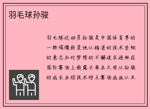 羽毛球孙骏